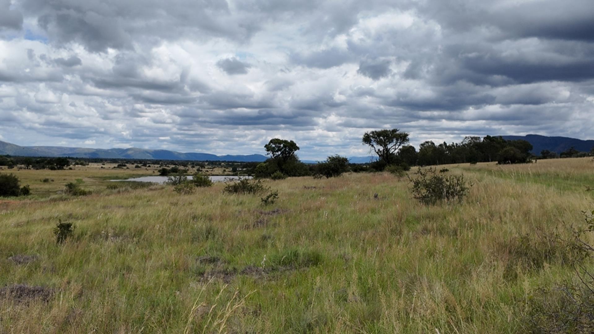 753503_Game_Farm_FOR_SALE_Naboomspruit_352_(11).jpeg