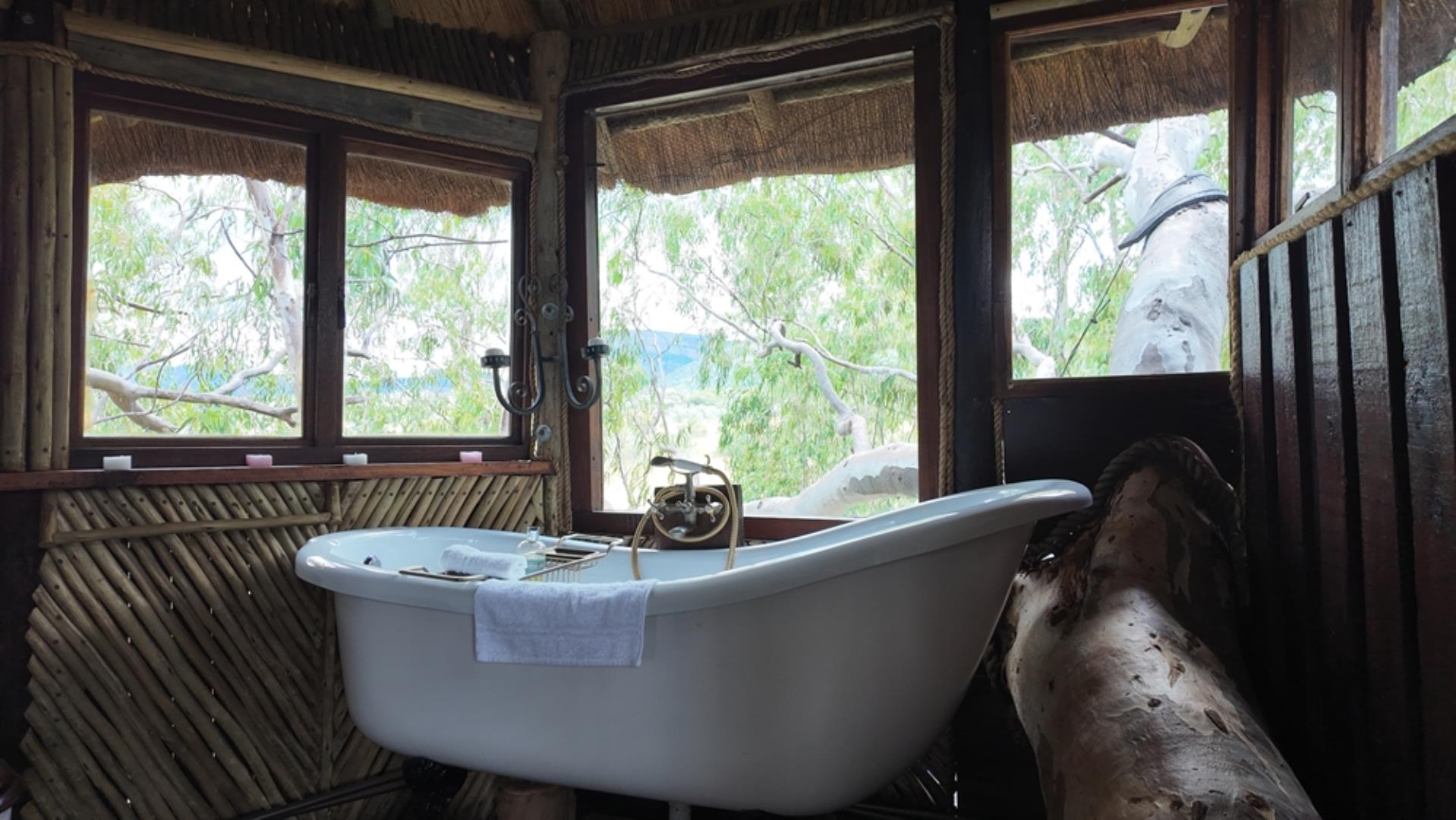 753503_Game_Farm_FOR_SALE_Naboomspruit_352_(17).jpeg