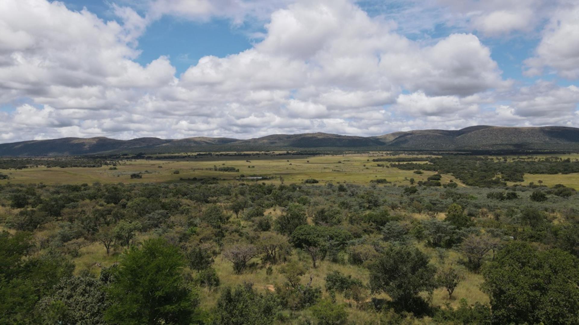 753503_Game_Farm_FOR_SALE_Naboomspruit_352_(2).JPG