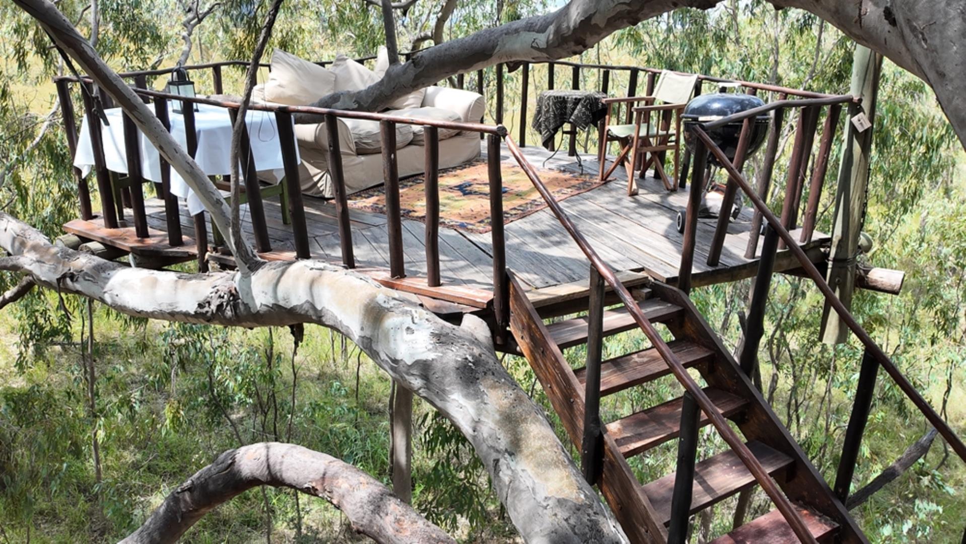 753503_Game_Farm_FOR_SALE_Naboomspruit_352_(22).jpeg