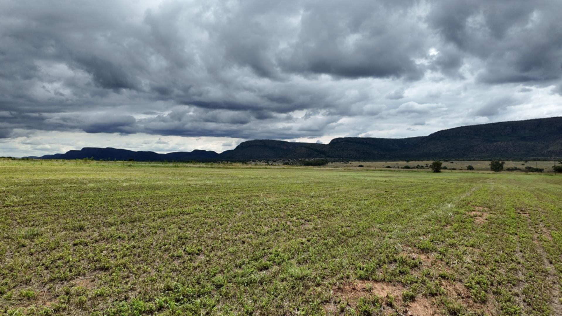 753503_Game_Farm_FOR_SALE_Naboomspruit_352_(26).jpeg