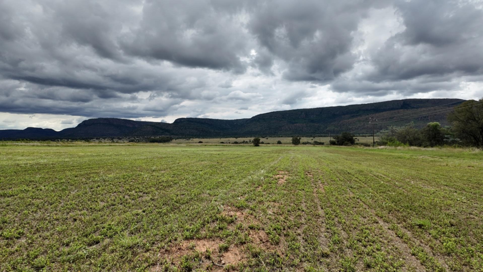 753503_Game_Farm_FOR_SALE_Naboomspruit_352_(27).jpeg