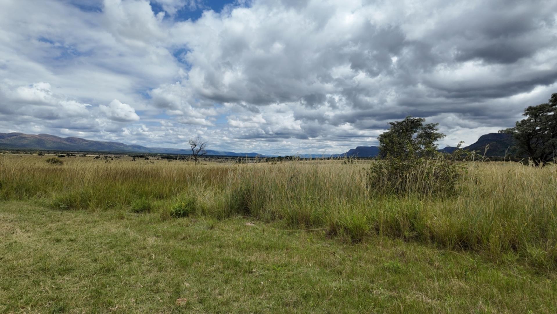 753503_Game_Farm_FOR_SALE_Naboomspruit_352_(7).jpeg