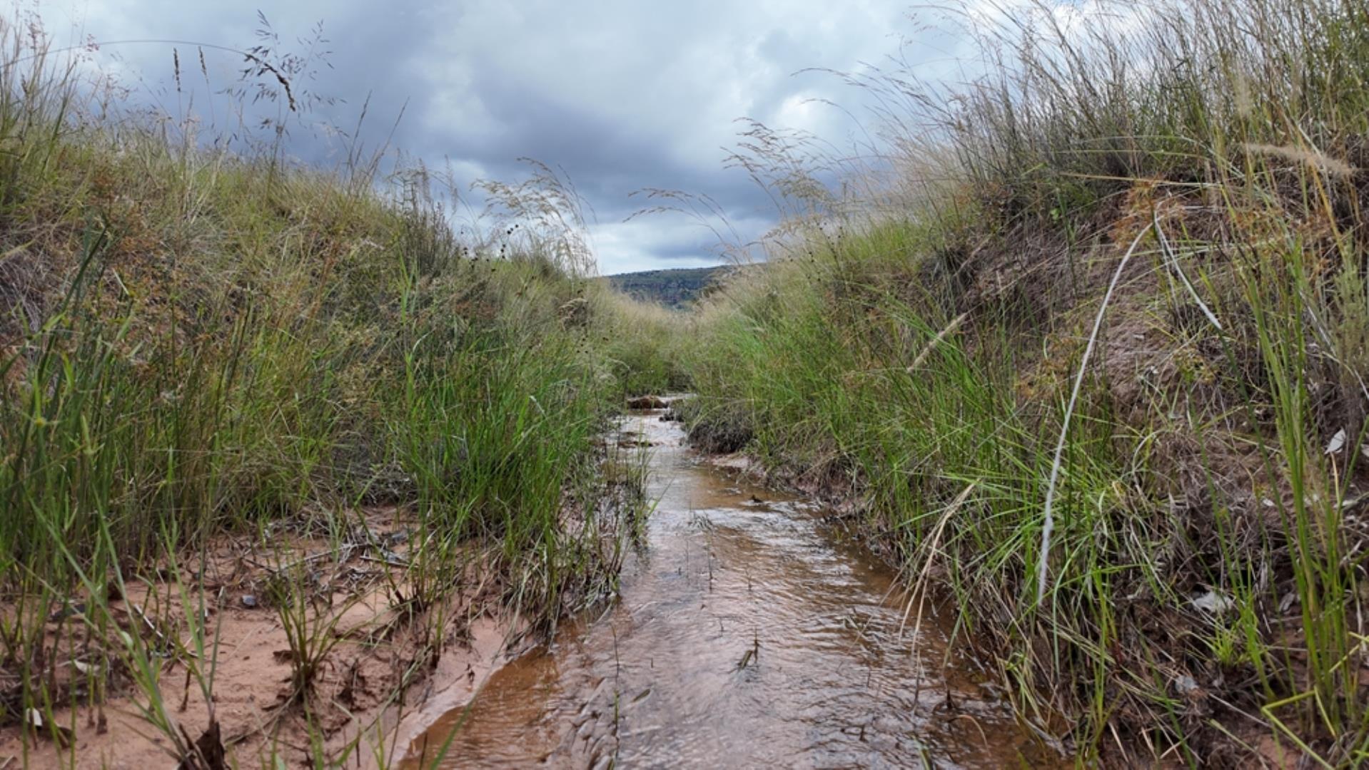 753503_Game_Farm_FOR_SALE_Naboomspruit_352_(9).jpeg