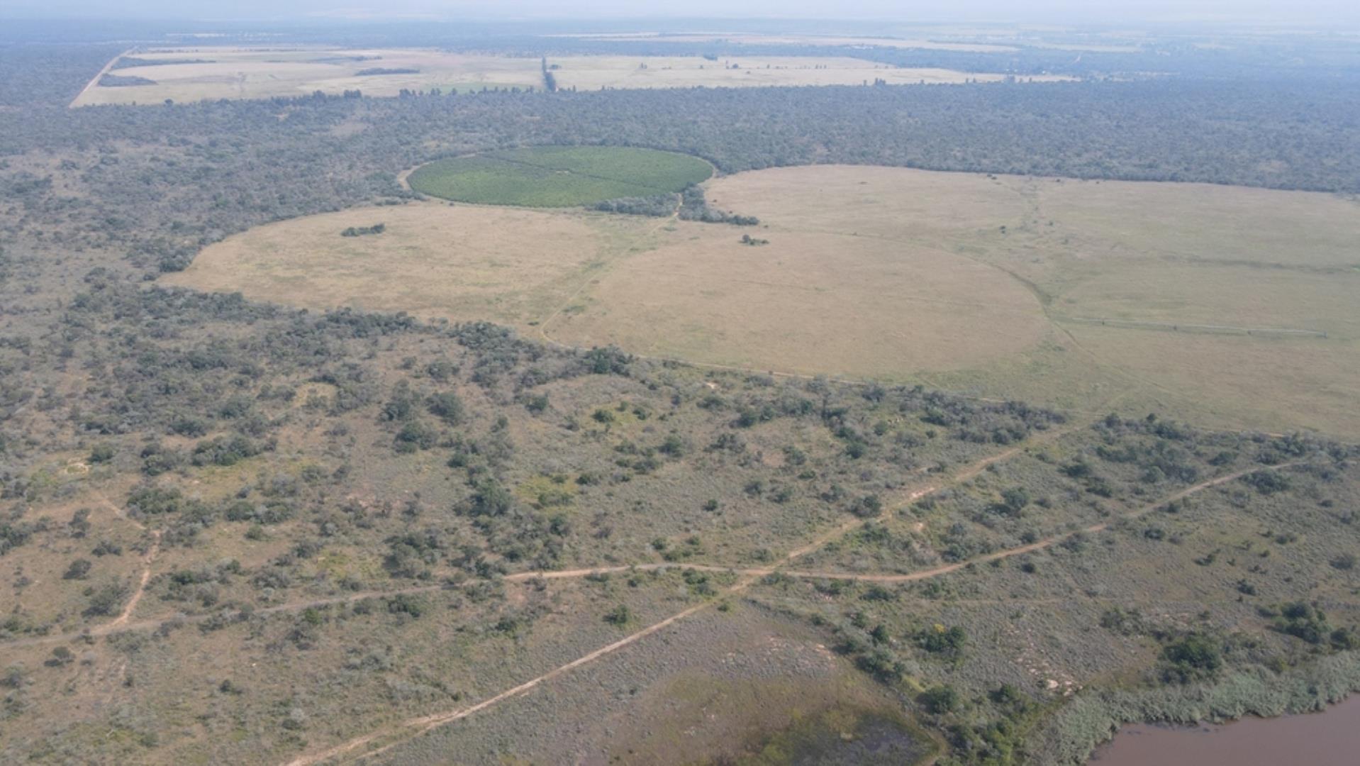 753709_1600ha_Vaalwater_Irrigation_and_Cattle_Farm_for_Sale_(63).jpeg