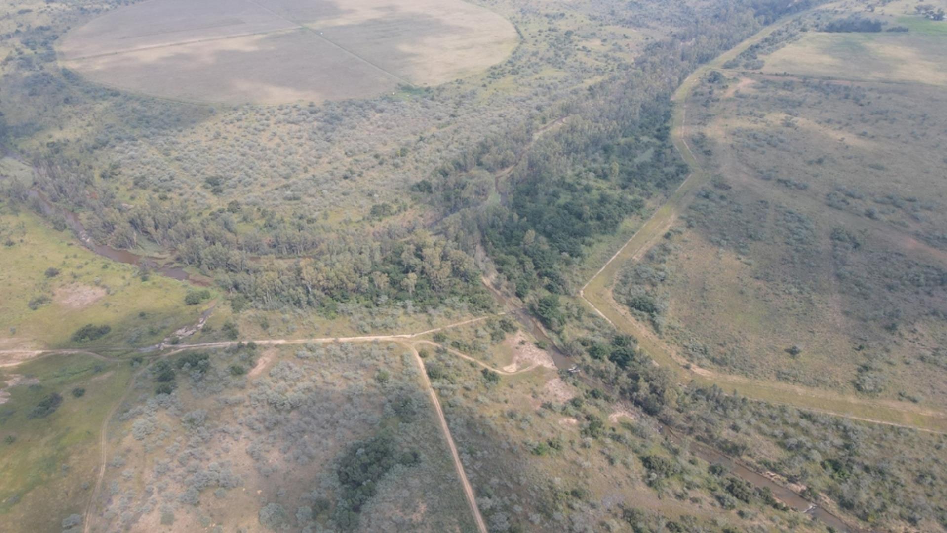 753709_1600ha_Vaalwater_Irrigation_and_Cattle_Farm_for_Sale_(73).jpeg