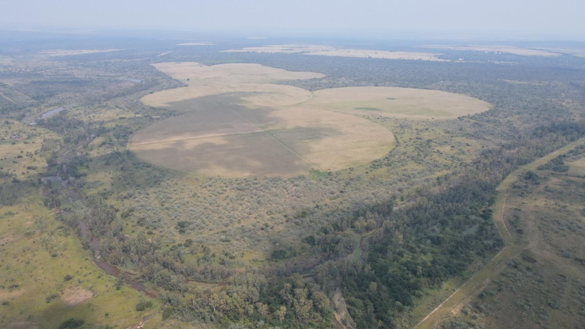 753709_1600ha_Vaalwater_Irrigation_and_Cattle_Farm_for_Sale_(74).jpeg