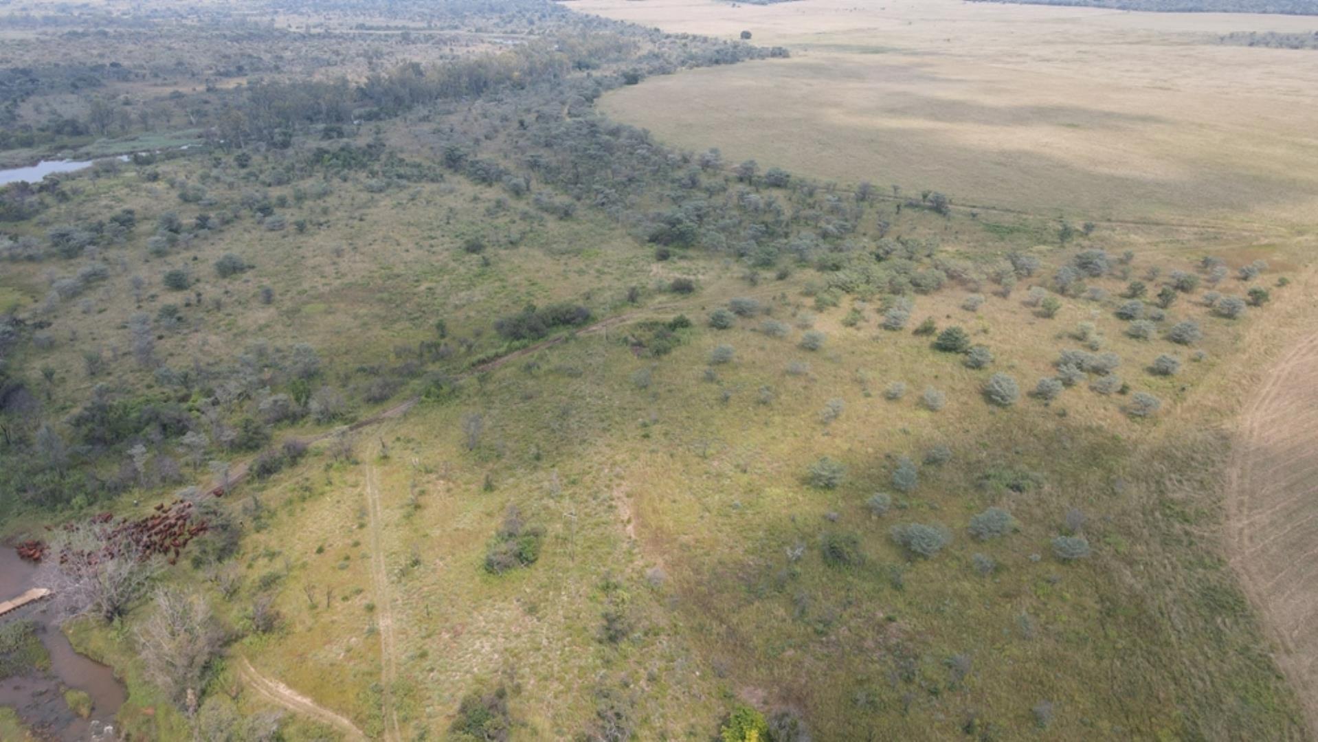 753709_1600ha_Vaalwater_Irrigation_and_Cattle_Farm_for_Sale_(82).jpeg