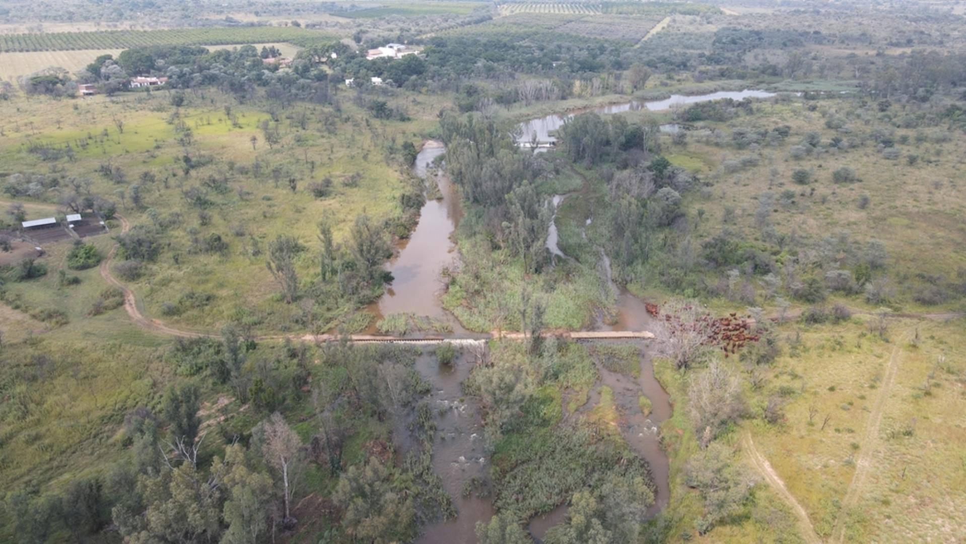 753709_1600ha_Vaalwater_Irrigation_and_Cattle_Farm_for_Sale_(83).jpeg
