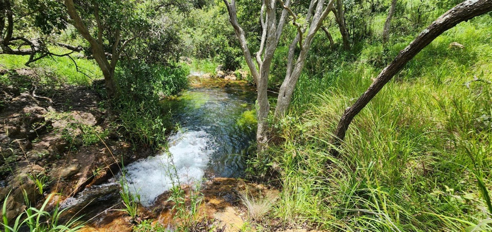 757349_327_Ha_Mountain_Stream_1.jpg