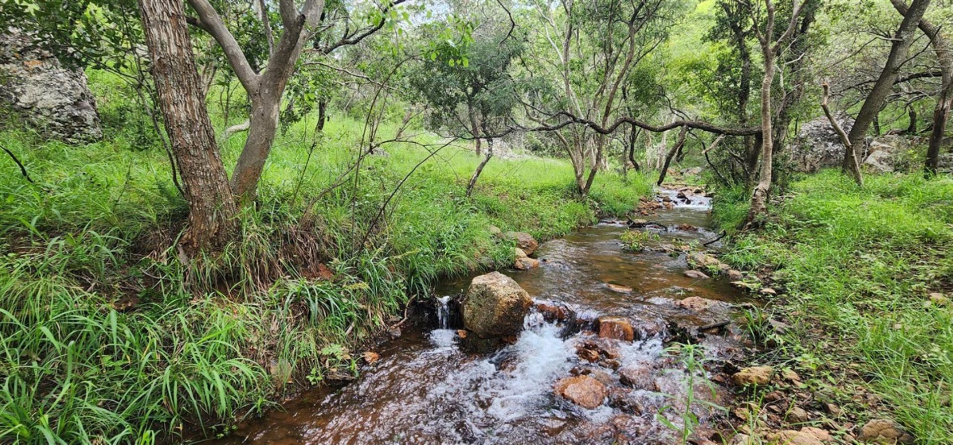757349_327_Ha_Mountain_Stream_3.jpg