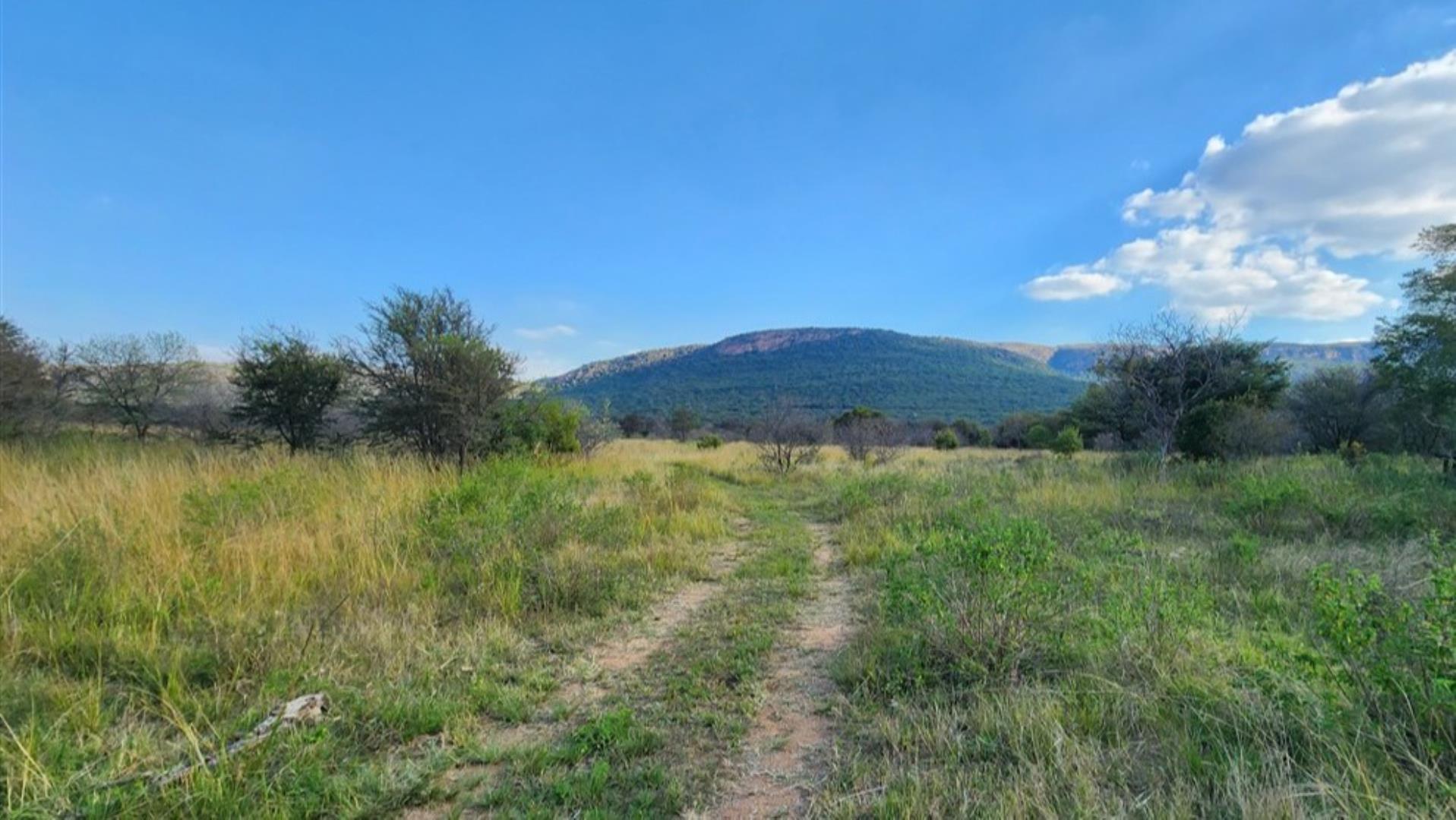 757349_Bushveld_grazing_3.jpg