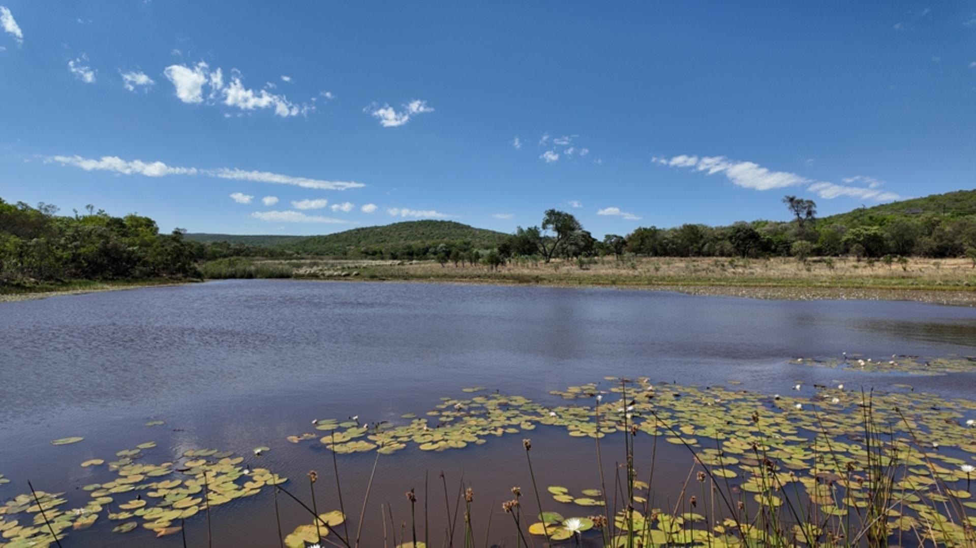 757417_730854_Shares_FOR_SALE_in_Game_Reserve_Vaalwater_(9).jpeg