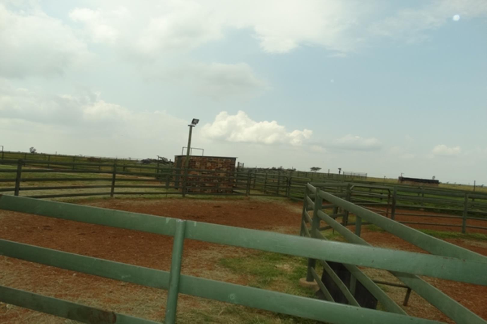 761335_1419ha_Feedlot___Irrigation_and_Game_Combination_Farm_for_Sale_Naboomspruit_(107).jpg