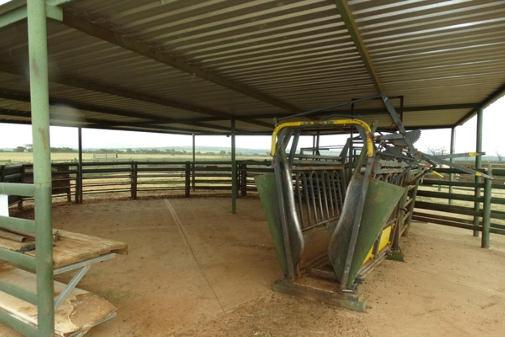 761335_1419ha_Feedlot___Irrigation_and_Game_Combination_Farm_for_Sale_Naboomspruit_(108).jpg