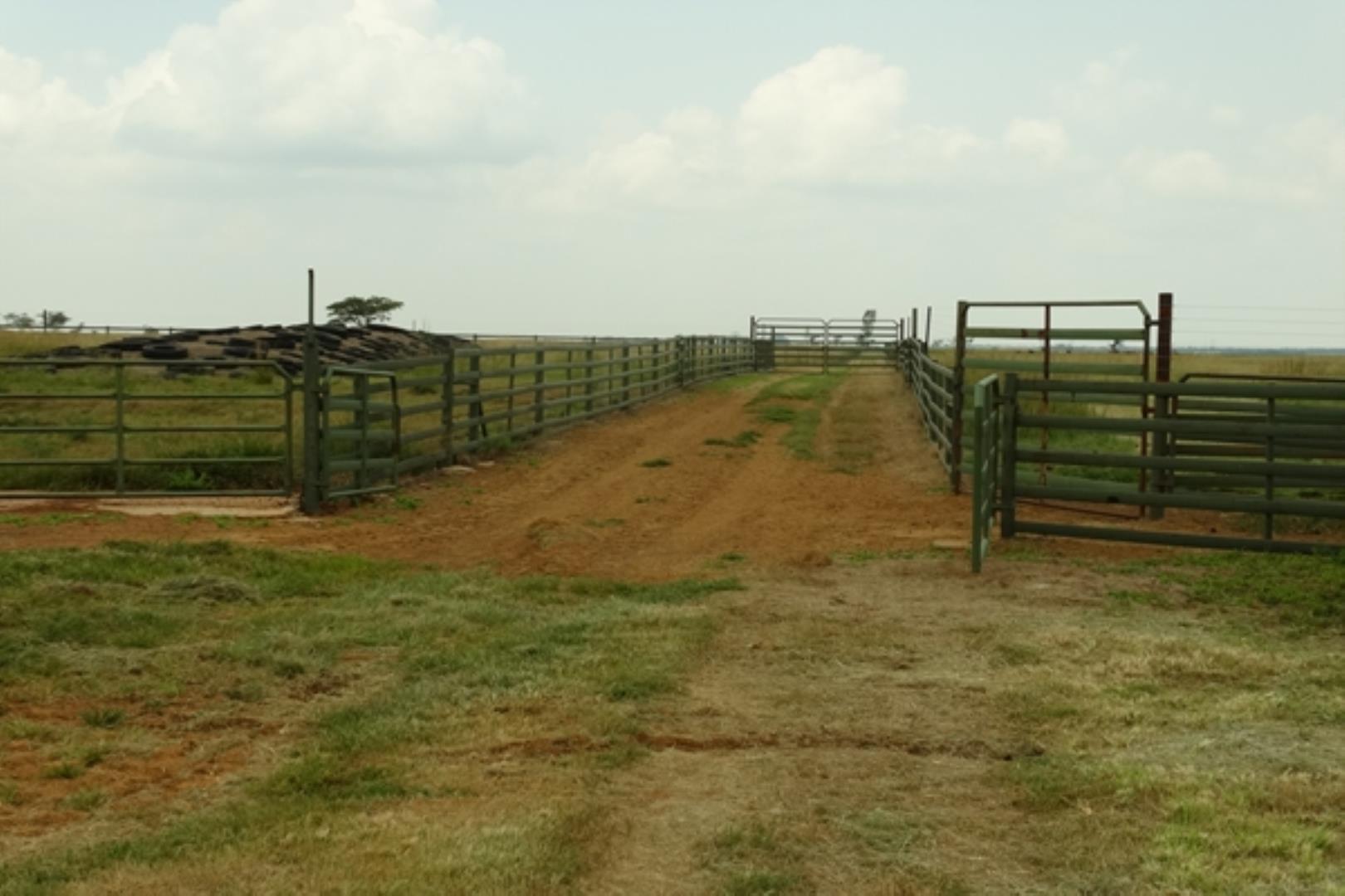 761335_1419ha_Feedlot___Irrigation_and_Game_Combination_Farm_for_Sale_Naboomspruit_(111).jpg