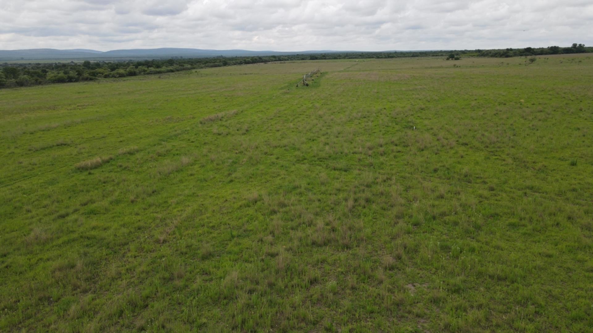 761941_610ha_Irrigation_Vaalwater_(18).jpeg