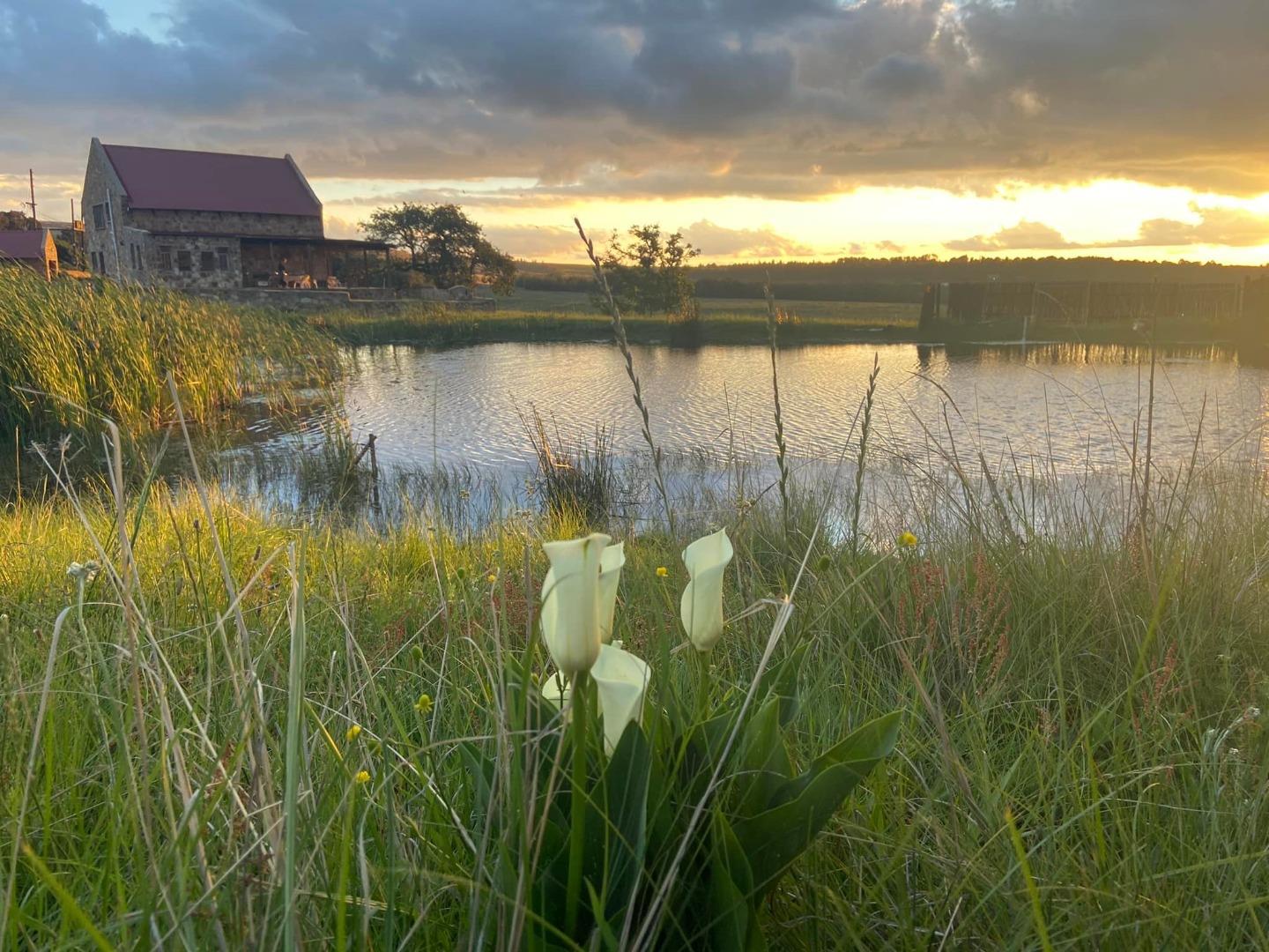 3 Bedroom Farm for Sale - Mpumalanga