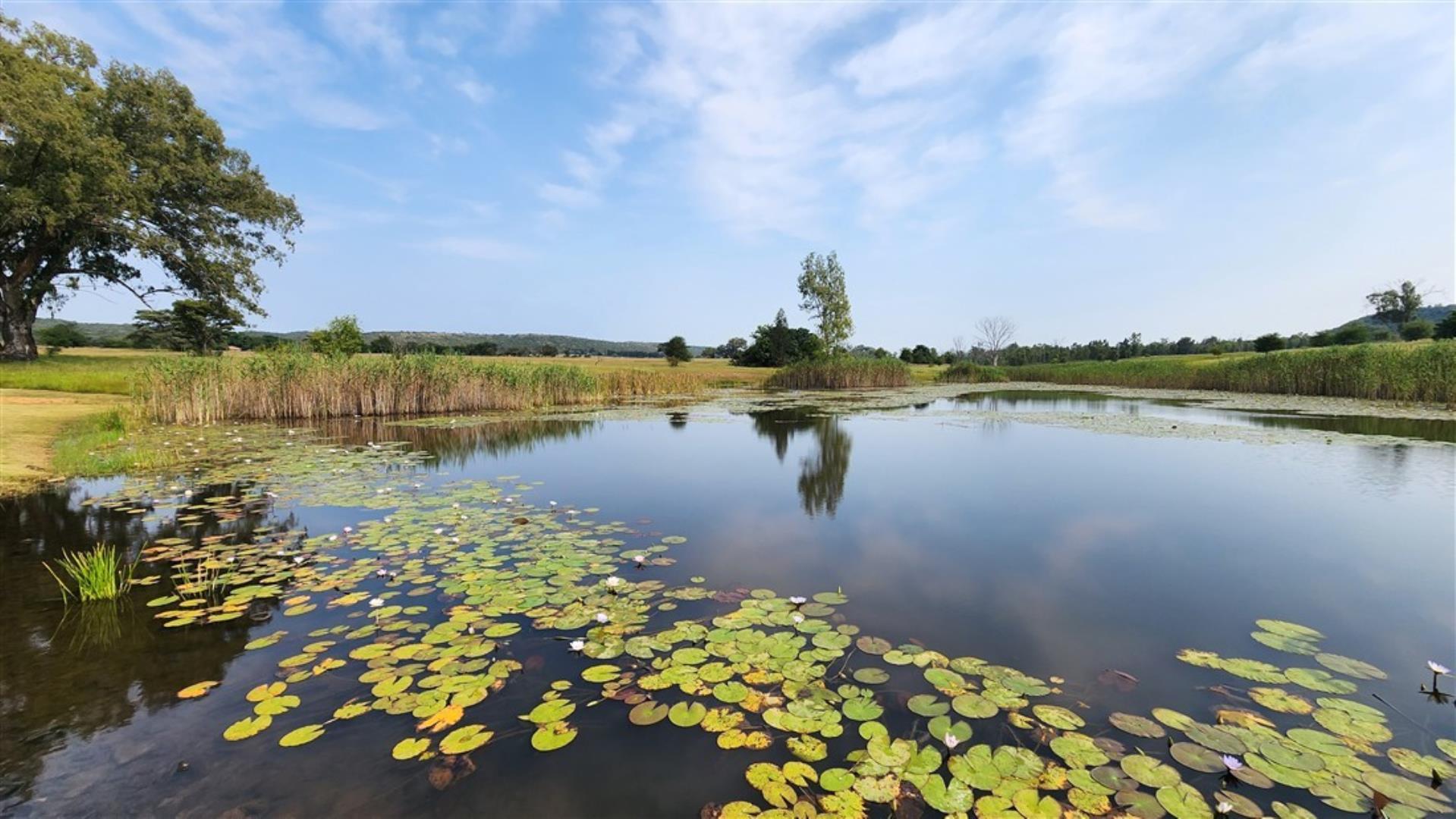 762506_536_ha_First_Dam_1.jpg