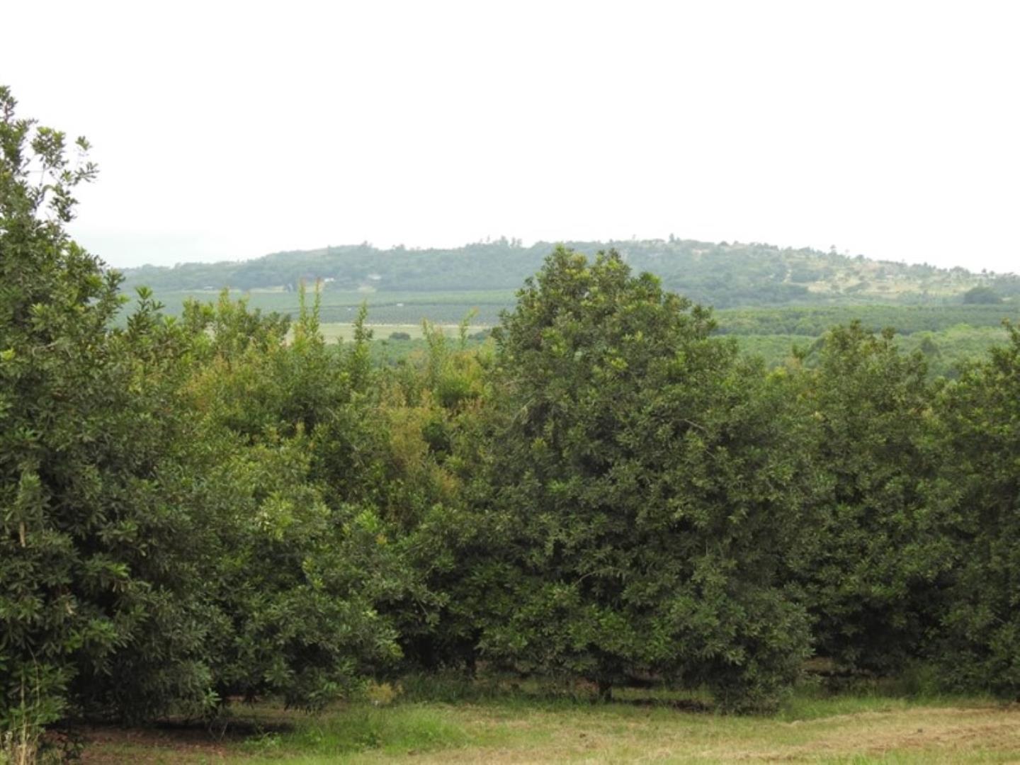 762835_7.jpg