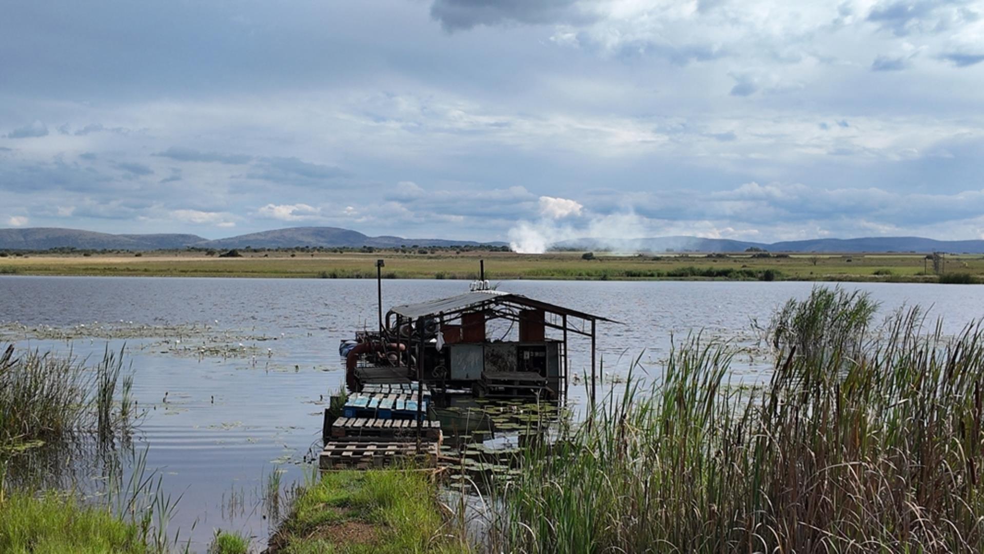 763067_408ha_Irrigation_and_Cattle_Farm_Alma_Area_(63).jpeg