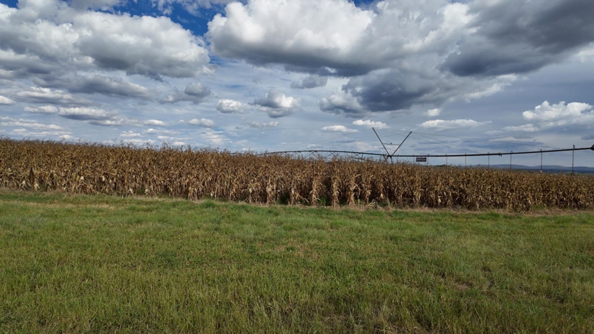 763067_408ha_Irrigation_and_Cattle_Farm_Alma_Area_(65).jpeg