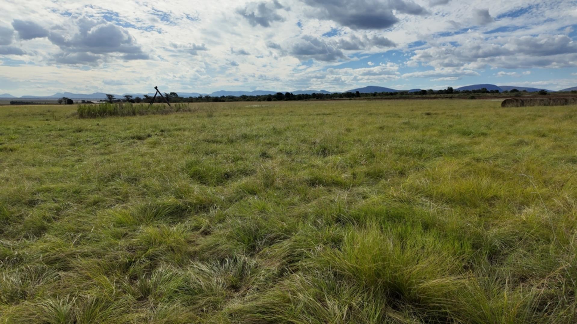 763067_408ha_Irrigation_and_Cattle_Farm_Alma_Area_(66).jpeg