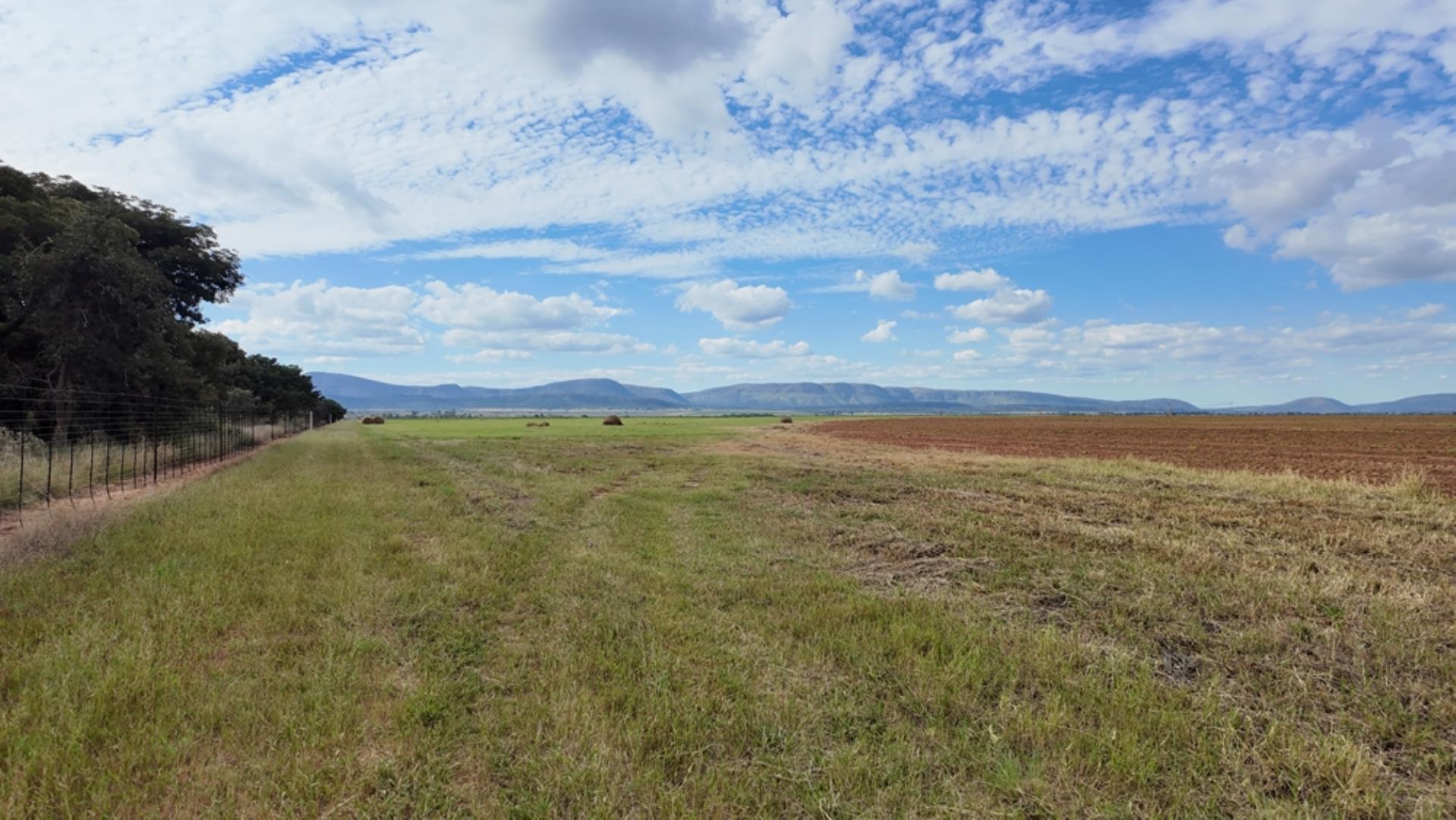 763067_408ha_Irrigation_and_Cattle_Farm_Alma_Area_(76).jpeg