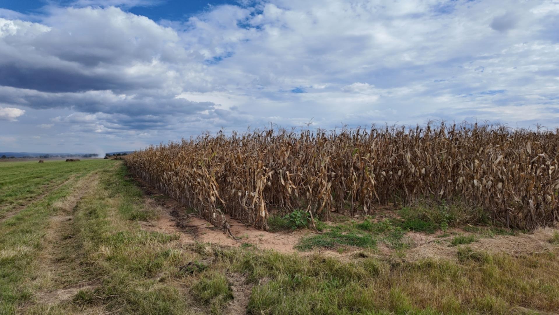 763067_408ha_Irrigation_and_Cattle_Farm_Alma_Area_(83).jpeg