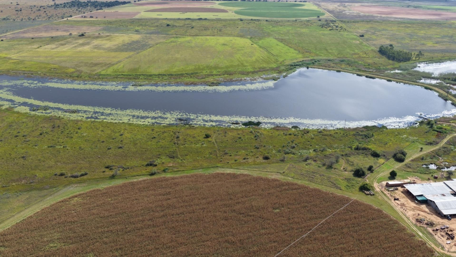 763067_408ha_Irrigation_and_Cattle_Farm_Alma_Area_(89).jpeg