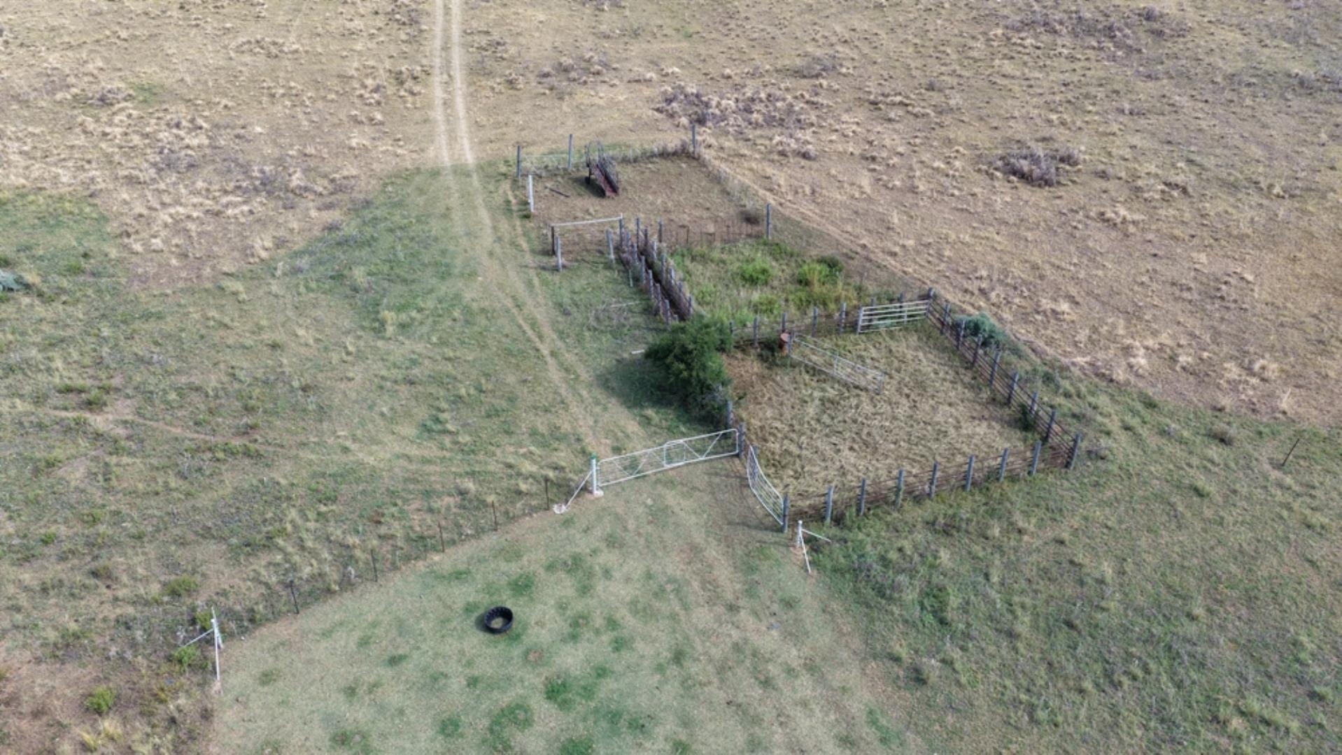 763067_408ha_Irrigation_and_Cattle_Farm_Alma_Area_(93).jpeg