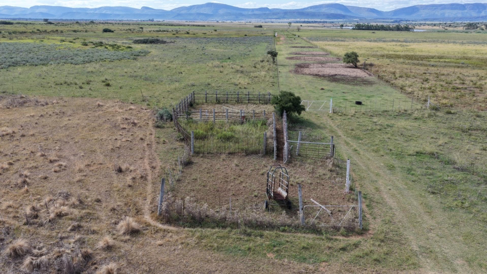 763067_408ha_Irrigation_and_Cattle_Farm_Alma_Area_(94).jpeg