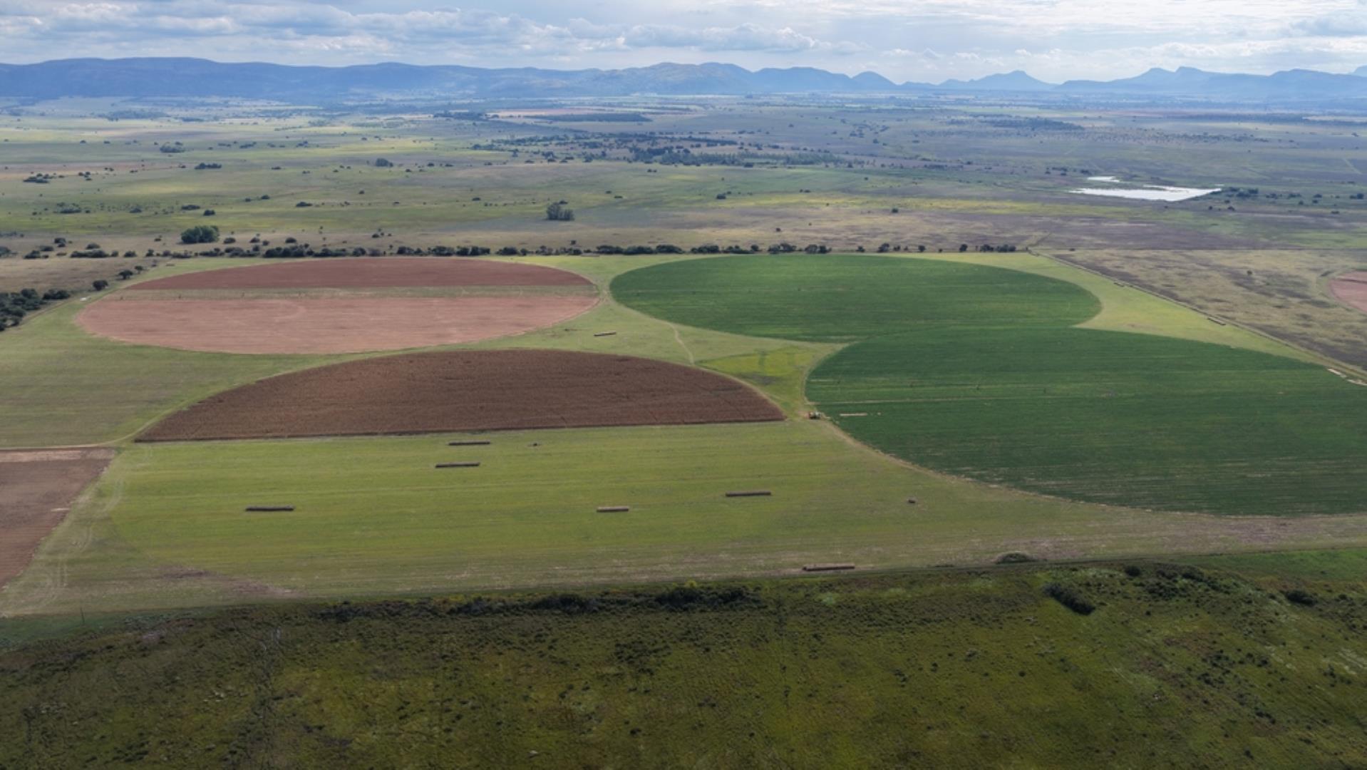 763067_408ha_Irrigation_and_Cattle_Farm_Alma_Area_(95).jpeg