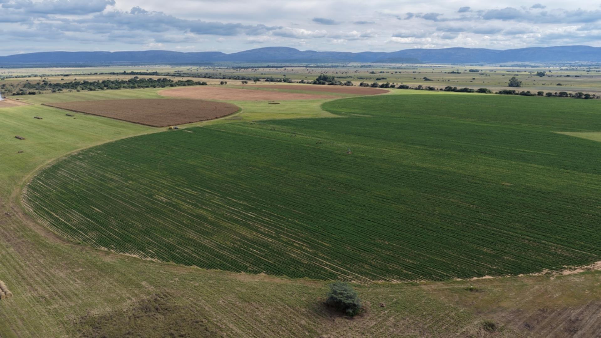 763067_408ha_Irrigation_and_Cattle_Farm_Alma_Area_(96).jpeg