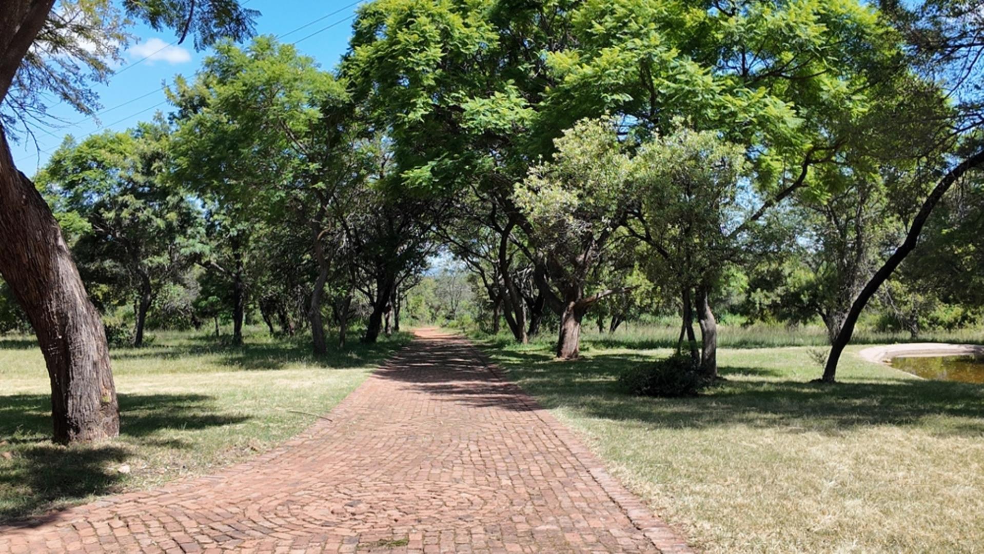763133_Photo_897ha_Modimolle_(10).jpeg