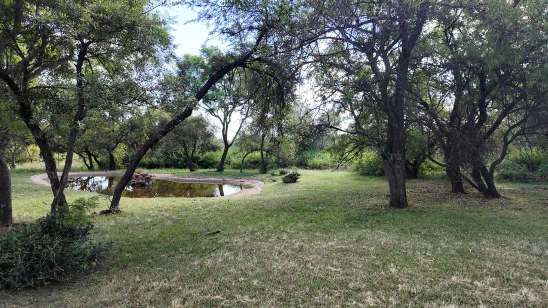 763133_Photo_897ha_Modimolle_(160).jpeg