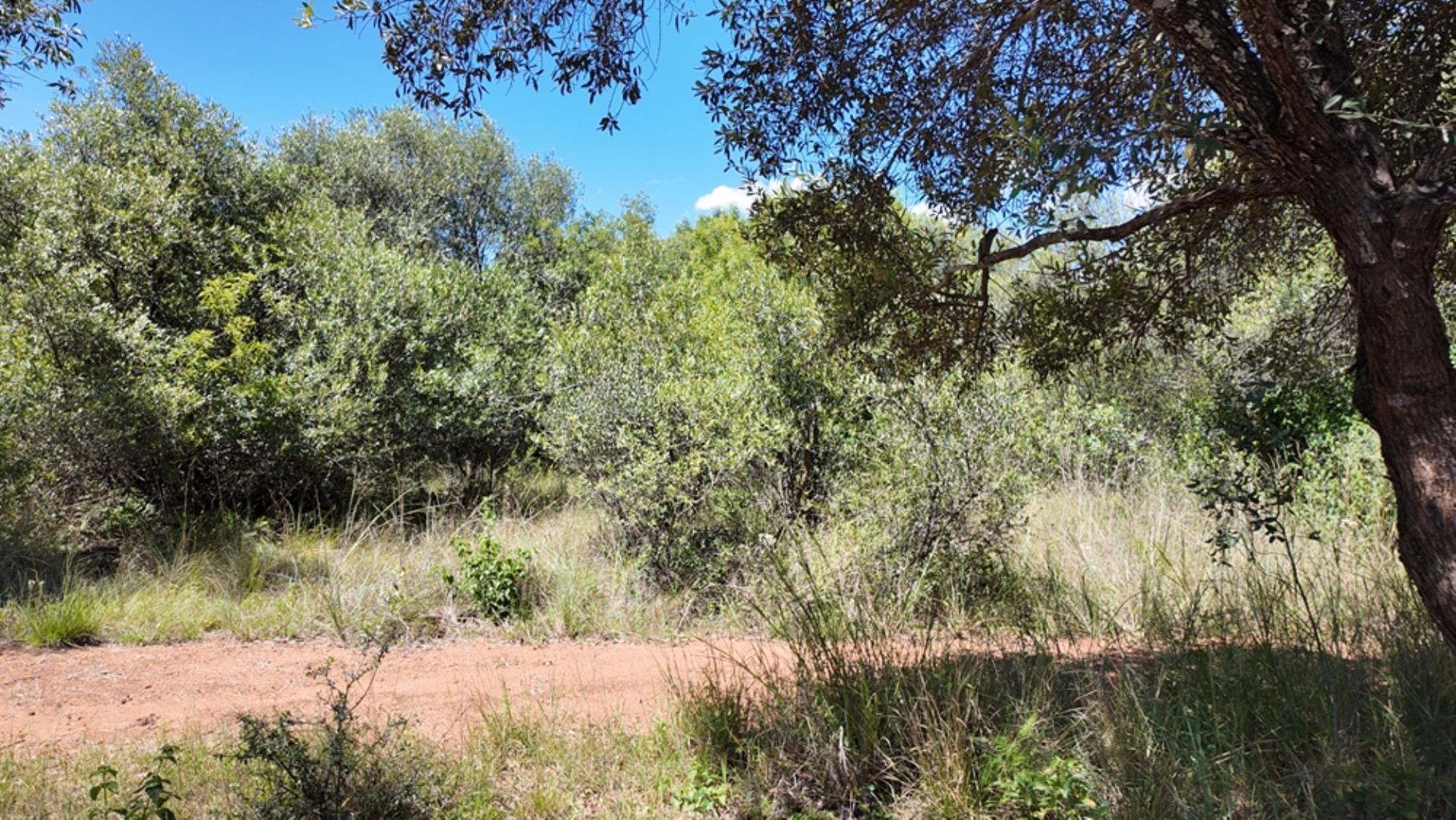 763133_Photo_897ha_Modimolle_(6).jpeg