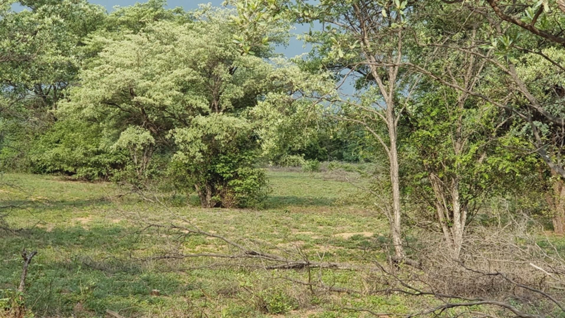 763685_28.jpg