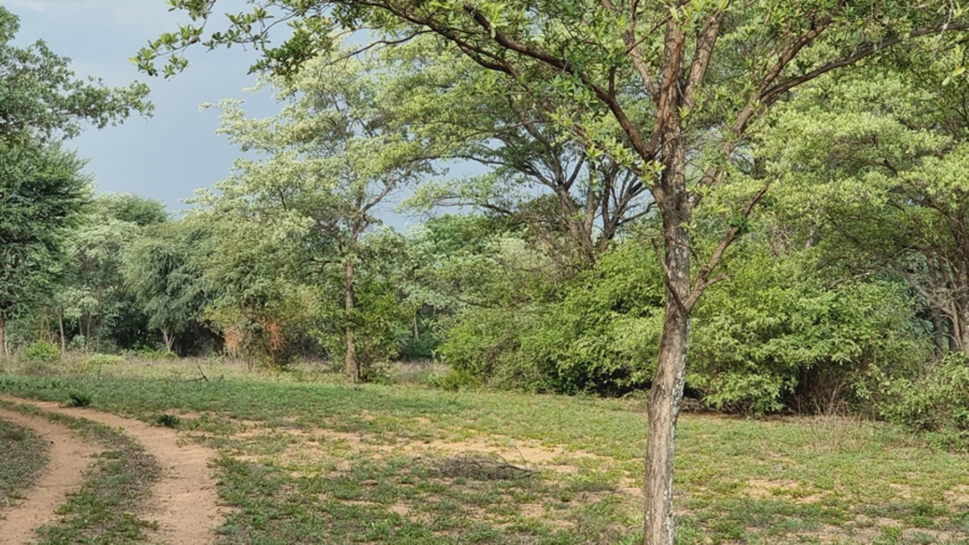763685_30.jpg