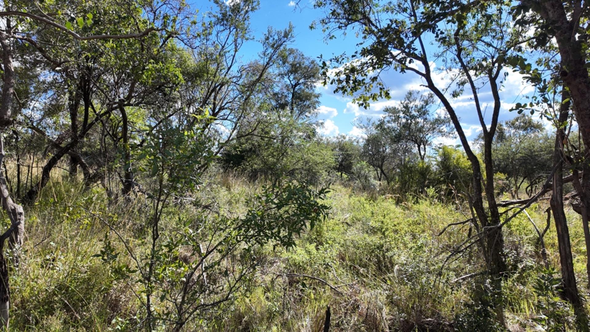 764120_132ha_Bela_Bela_Farm_For_Sale_(141).jpeg