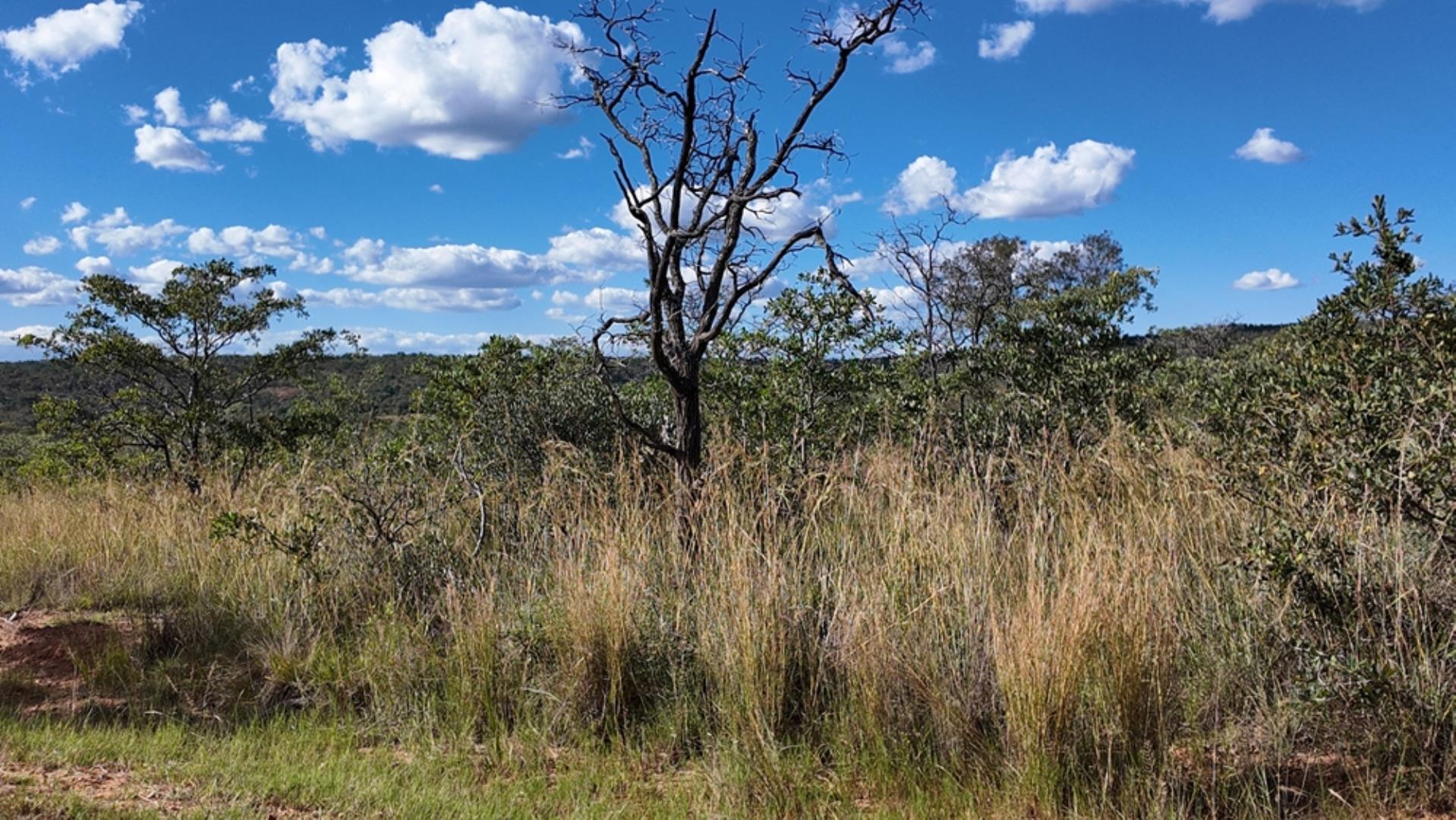 764120_132ha_Bela_Bela_Farm_For_Sale_(186).jpeg