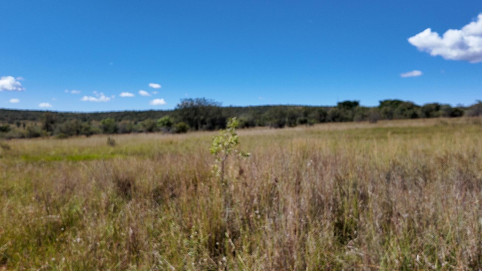 764120_132ha_Bela_Bela_Farm_For_Sale_(5).jpeg