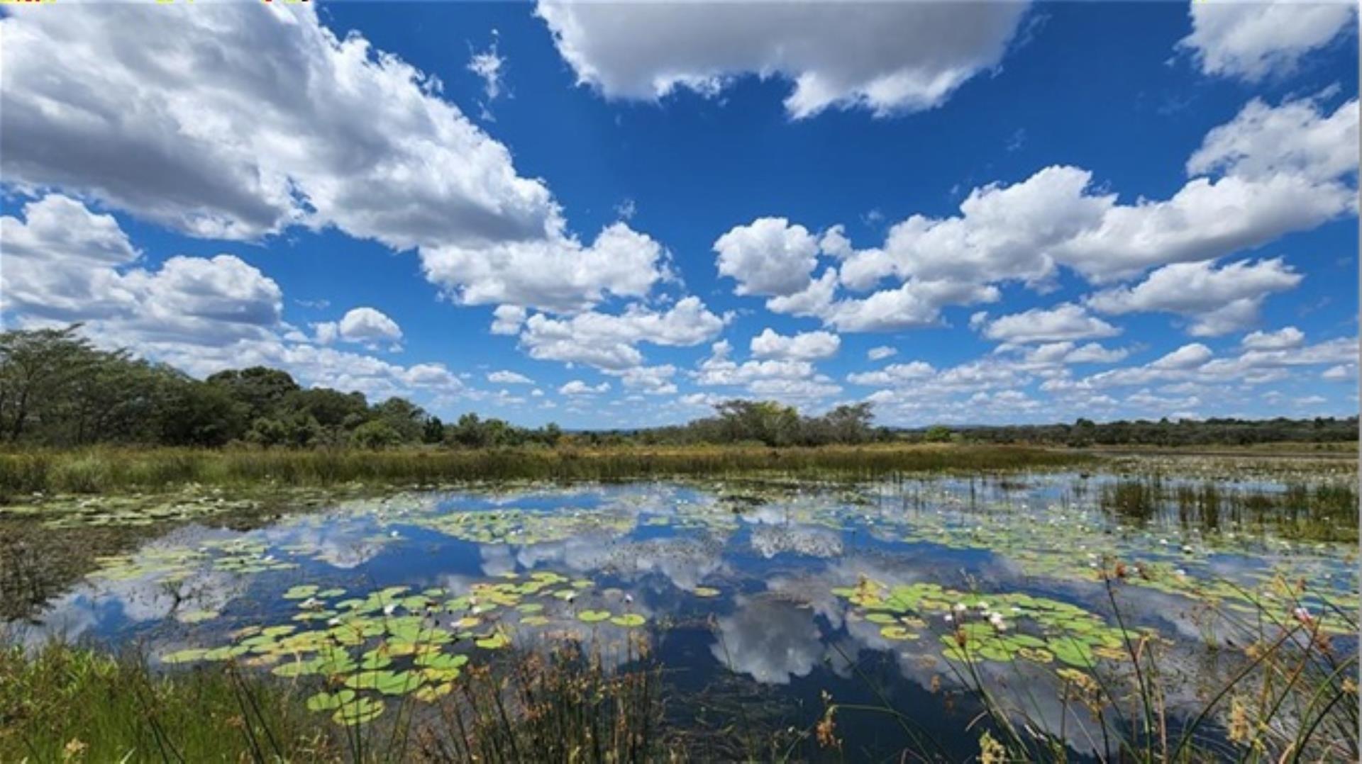 764126_1389ha_Vaalwater_23.jpg