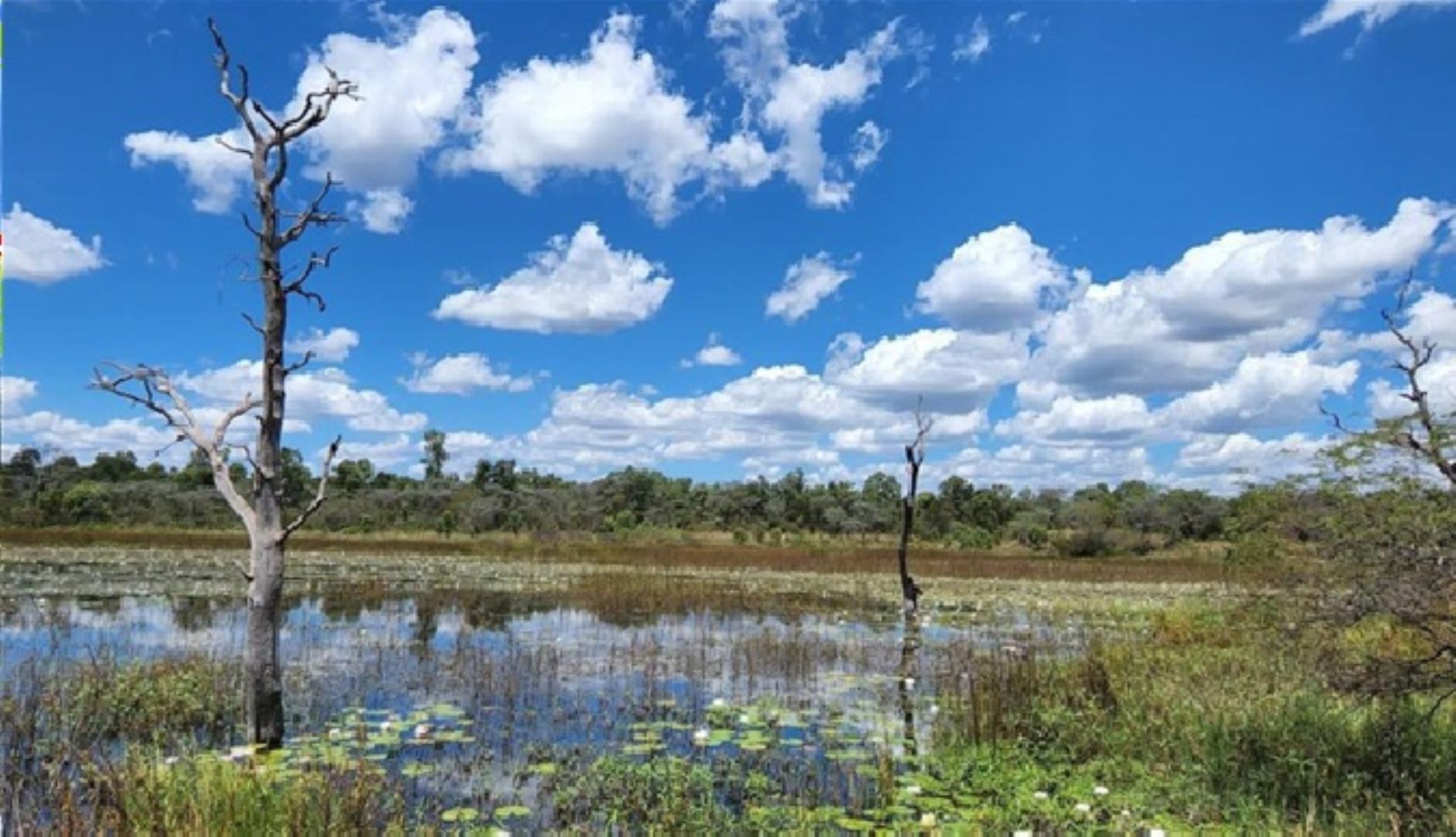 764126_1389ha_Vaalwater_25.jpg