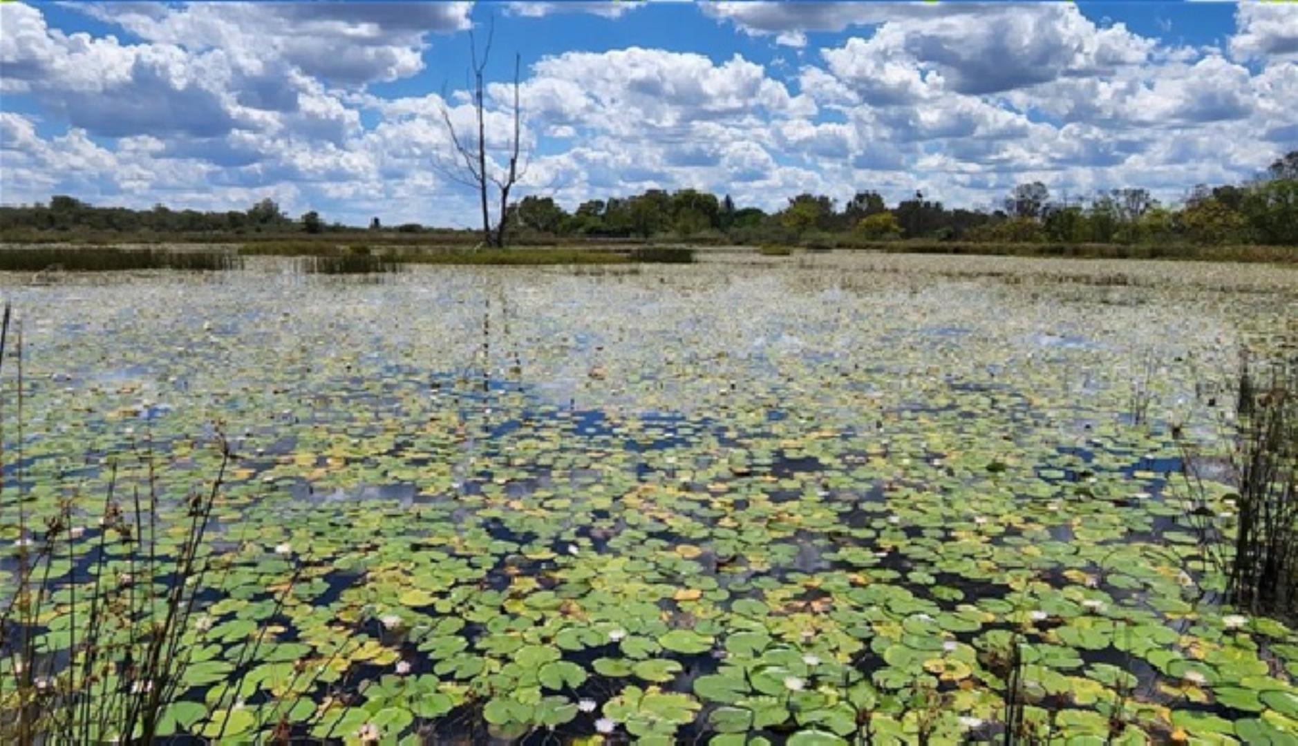 764126_1389ha_Vaalwater_26.jpg