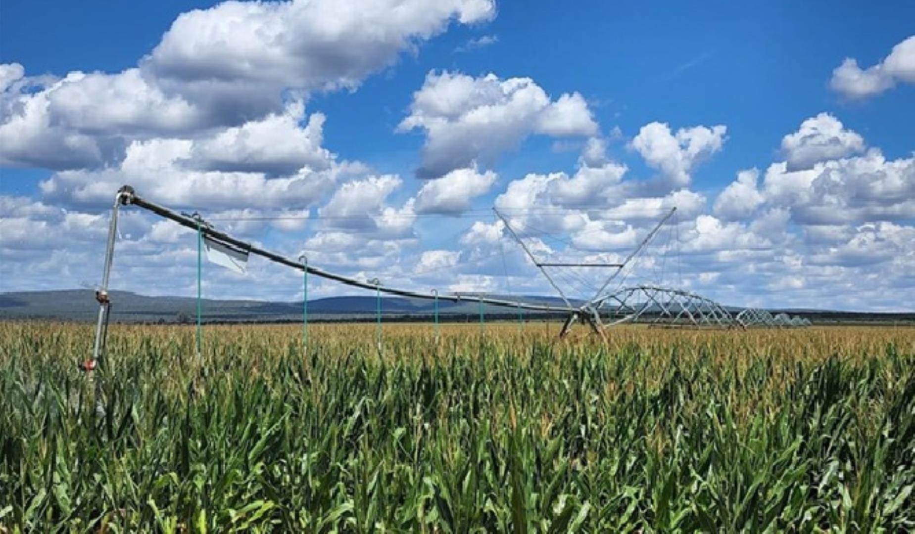 13 Bedroom Farm for Sale - Limpopo