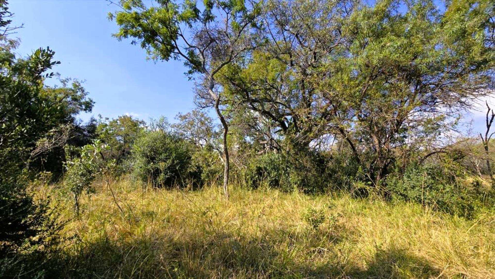 765715_354ha_Modimolle_Farm_FOR_SALE_(64).JPG