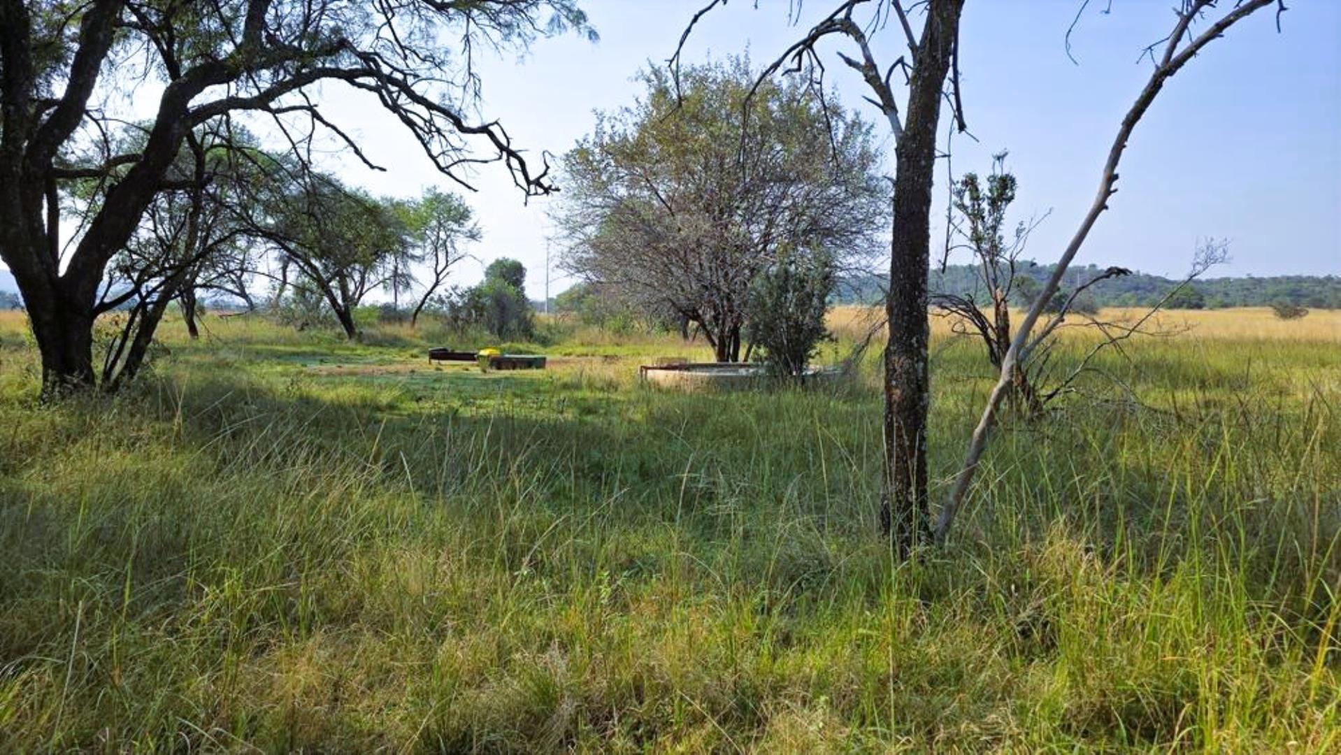 765715_354ha_Modimolle_Farm_FOR_SALE_(65).JPG