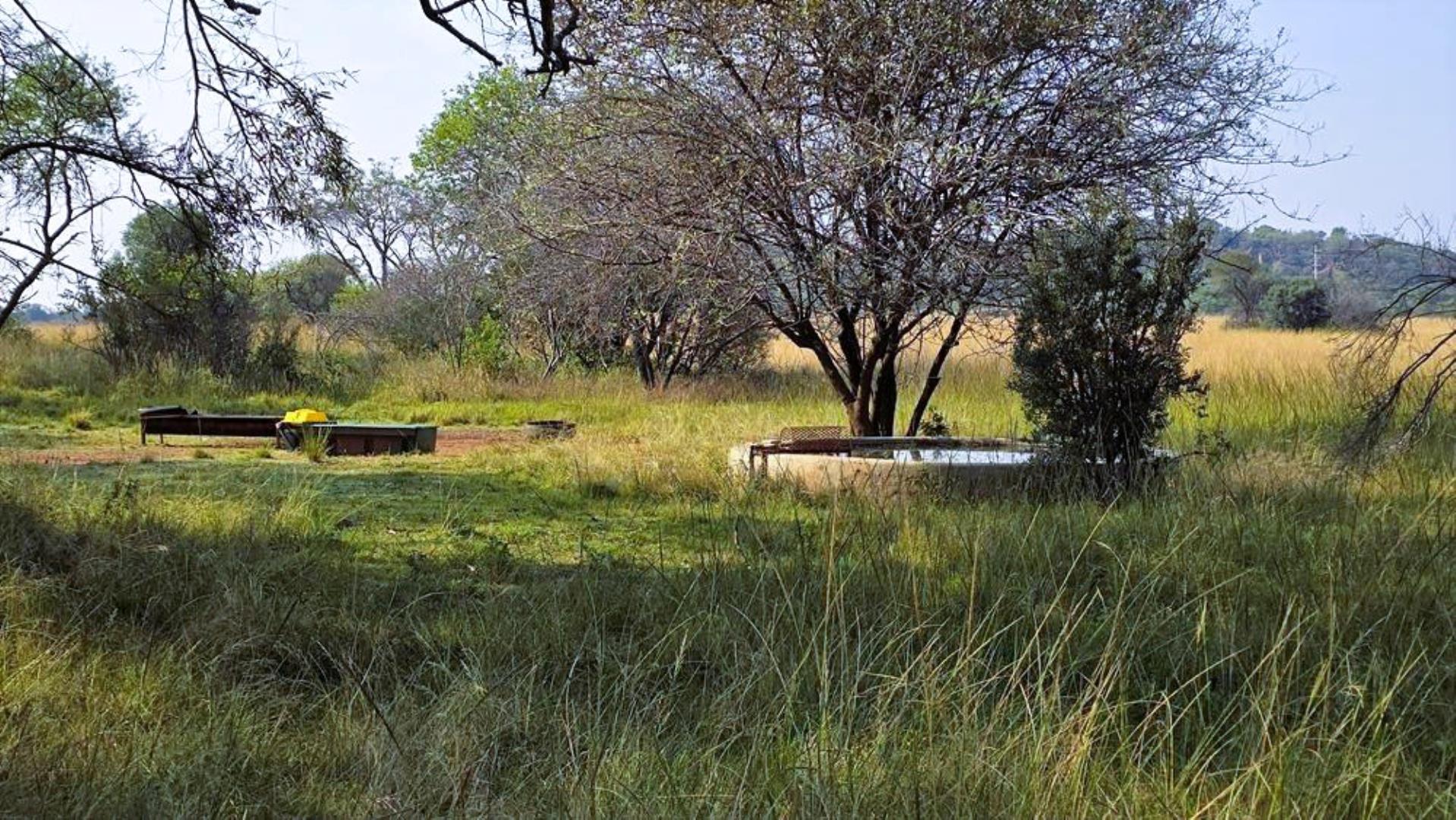 765715_354ha_Modimolle_Farm_FOR_SALE_(66).JPG