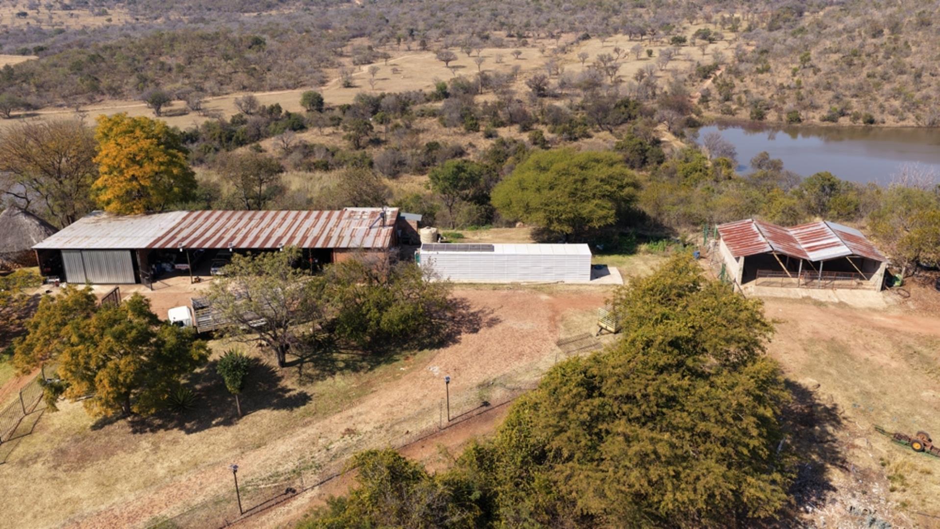 766637_620ha_Magnificent_Game_Farm_FOR_SALE_Naboomspruit_(139).jpeg